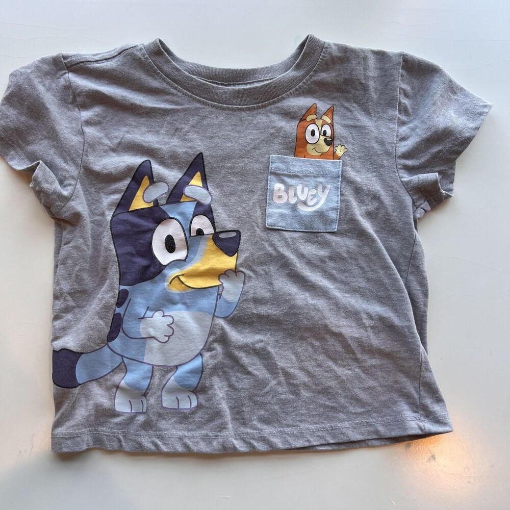 Bluey Toddler Gray T-Shirt | Character Graphic Tee | Size 2T | EUC